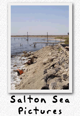 Salton Sea